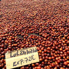 Intego (Resolution) Anaerobic Experiment