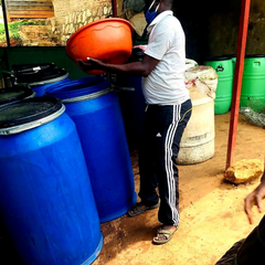 Impano (Gift) Anaerobic Experiment