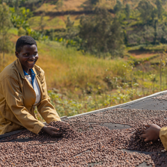 Gasharu Natural Grade 1