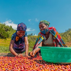 Muhororo Natural Grade 1