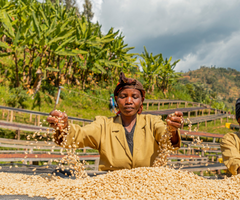 Wet Anaerobic Experiment