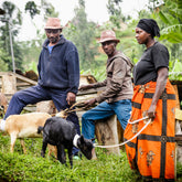 Donate A Goat - Rugori Women's Crown Program