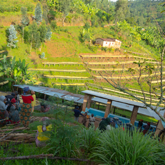 Individual visit - 1 day tour.