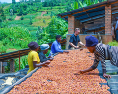 Individual visit - 1 day tour.