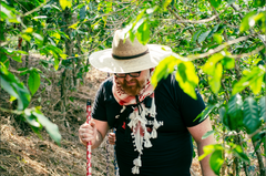 Individual visit - 1 day tour.