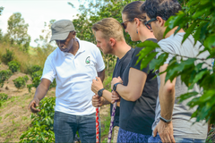 Group visit - 1 Day Tour