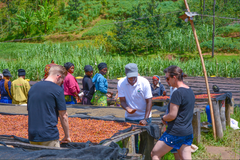 Group visit - 1 Day Tour