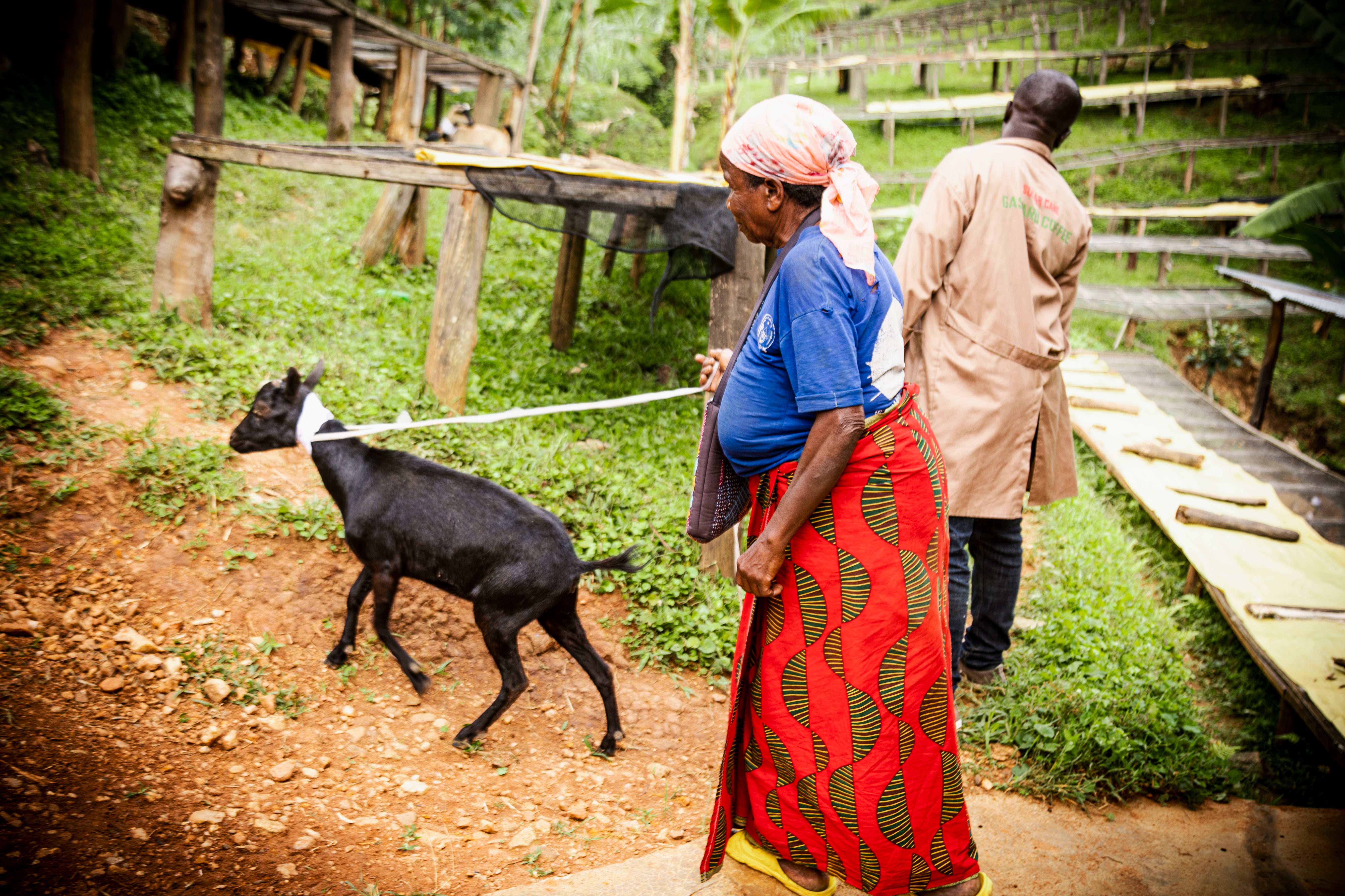 Donate A Goat - Rugori Women's Crown Program