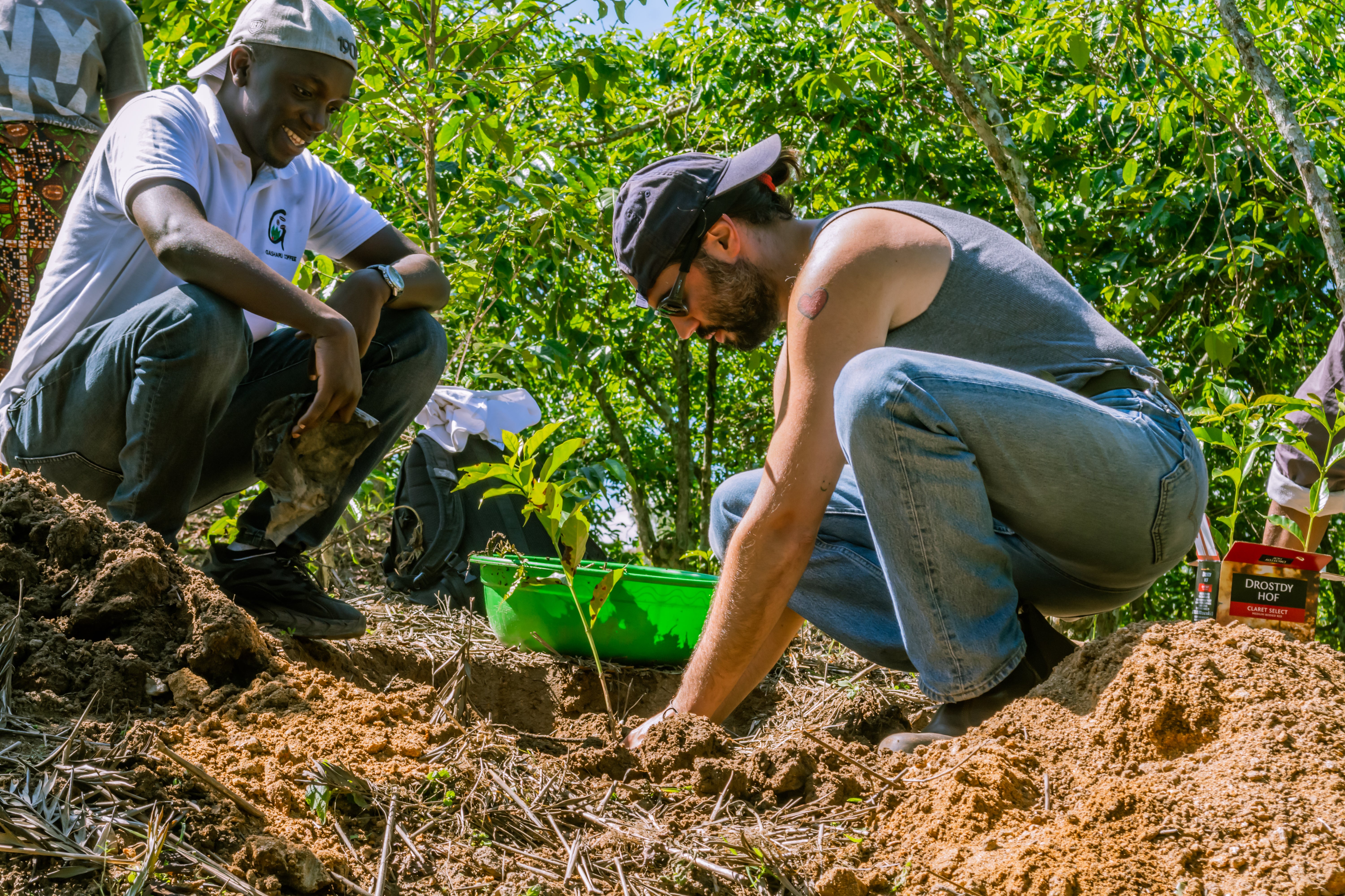 Farm Forward - Gift A Coffee Plant